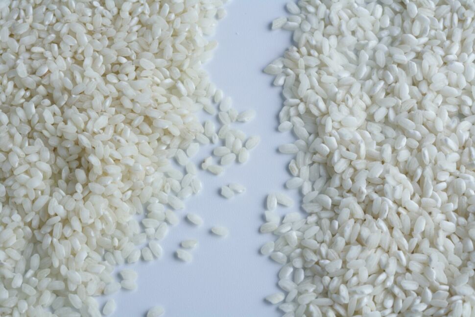 tipos arroz risotto